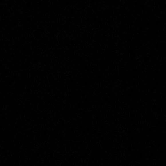 Meet your Posher, Papi - Picture 1 of 1